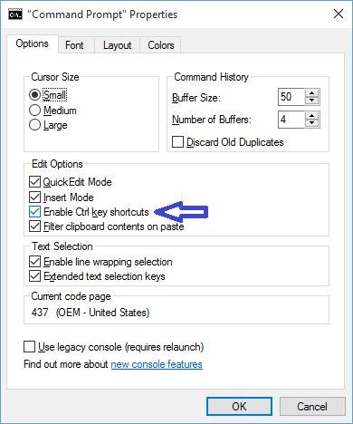 enable Ctrl key shortcuts in command prompt